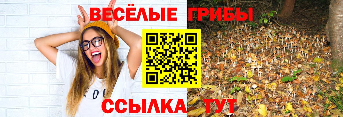 Североуральск  Галлюциногенные грибы GOLDEN TEACHER  Псилоцибиновые грибы мицелий  Вход с VPN 
